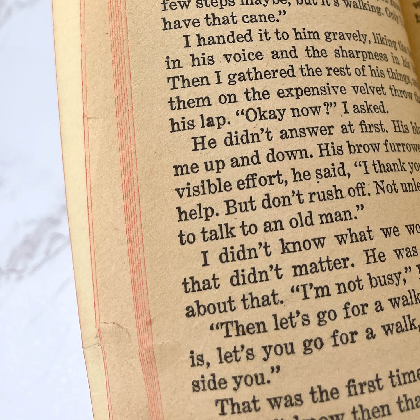 The Inheritance by Daoma Winston [FIRST EDITION PAPERBACK] 1972 • Avon