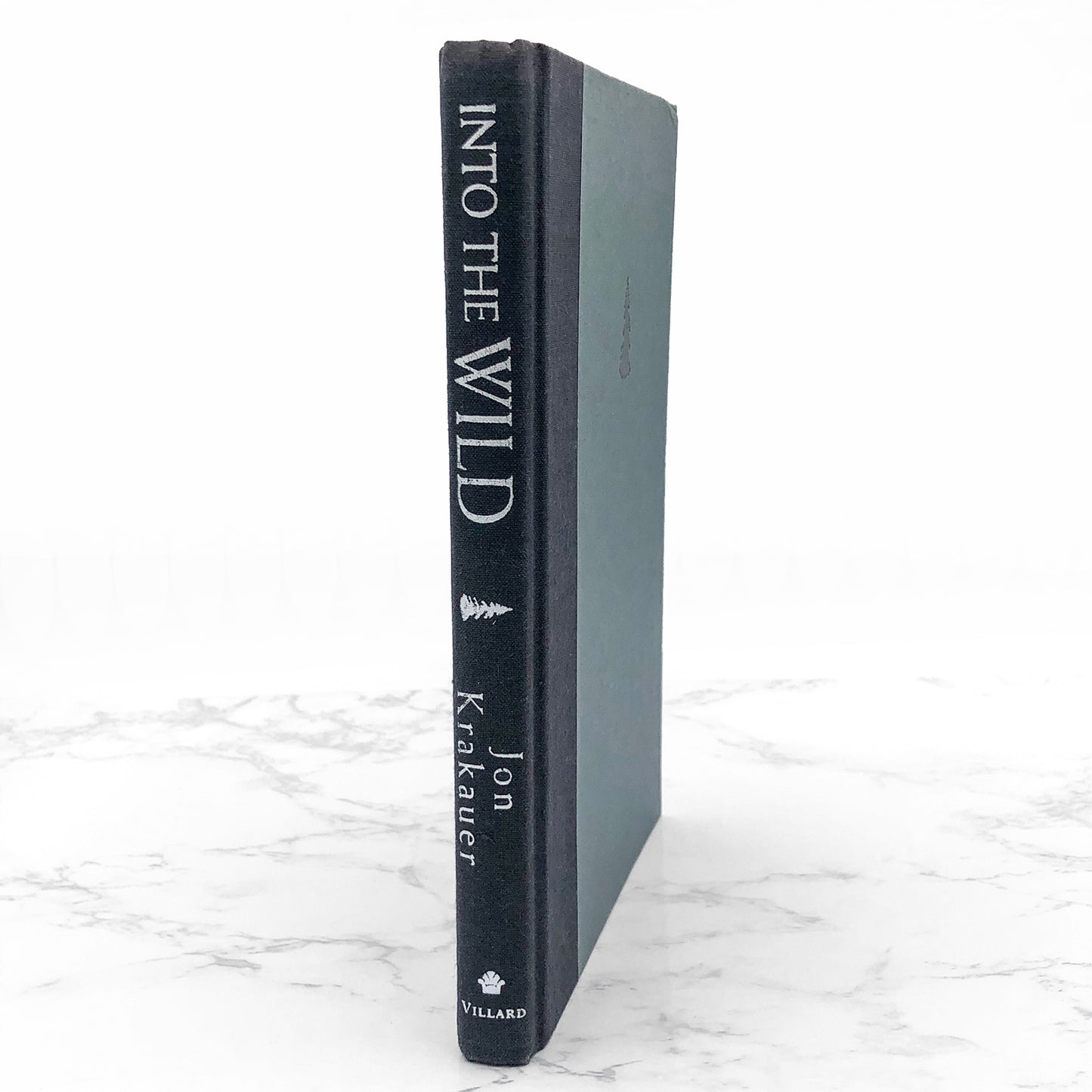 Into the Wild by Jon Krakauer [FIRST EDITION] 1996 • Villard