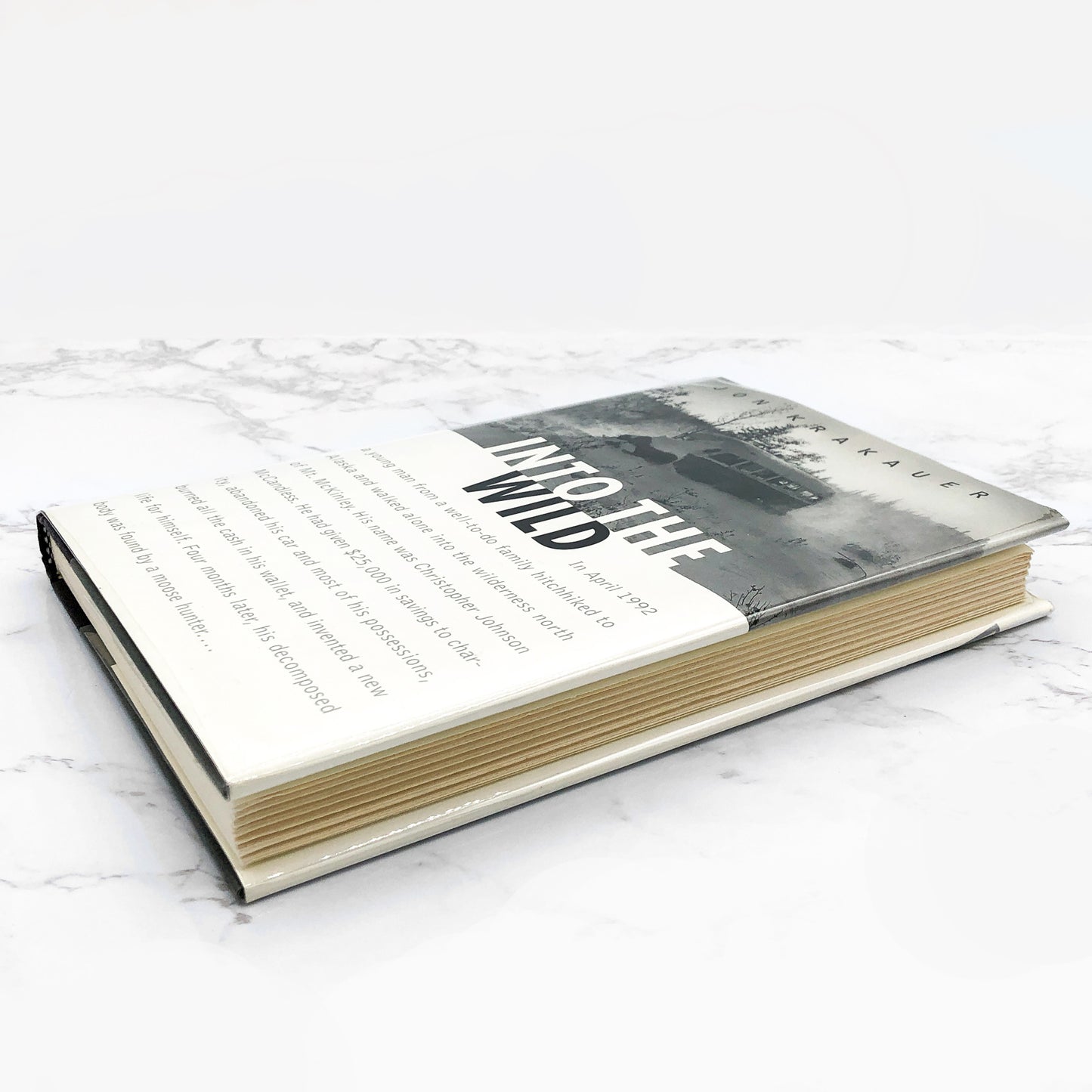 Into the Wild by Jon Krakauer [FIRST EDITION] 1996 • Villard