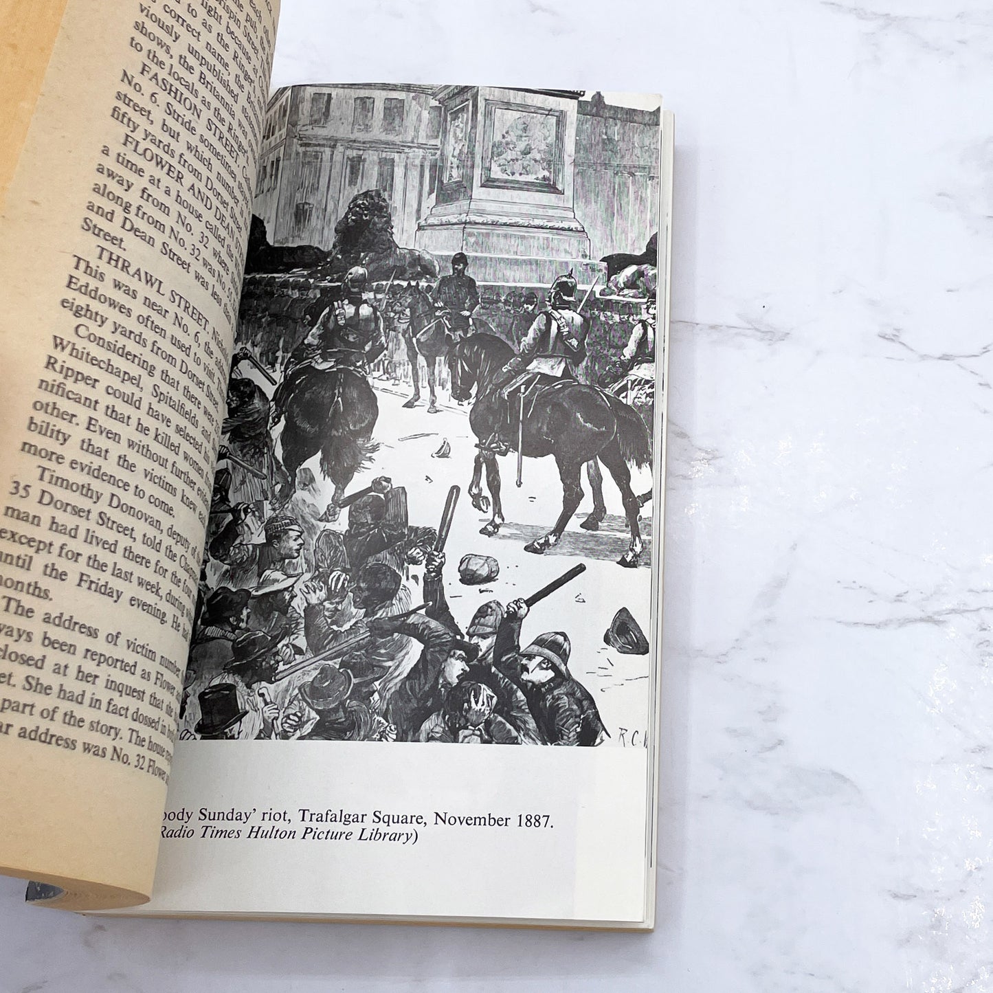 Jack the Ripper: the Final Solution by Stephen Knight [U.K. PAPERBACK] 1985 • Grafton Books