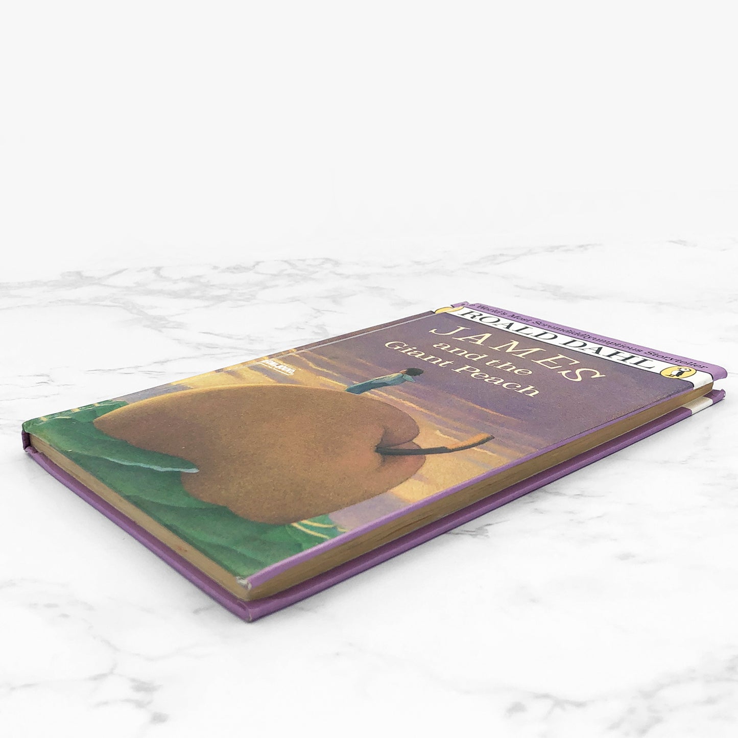 James and the Giant Peach by Roald Dahl [PERMA-BOUND HARDCOVER] 1988 • Puffin