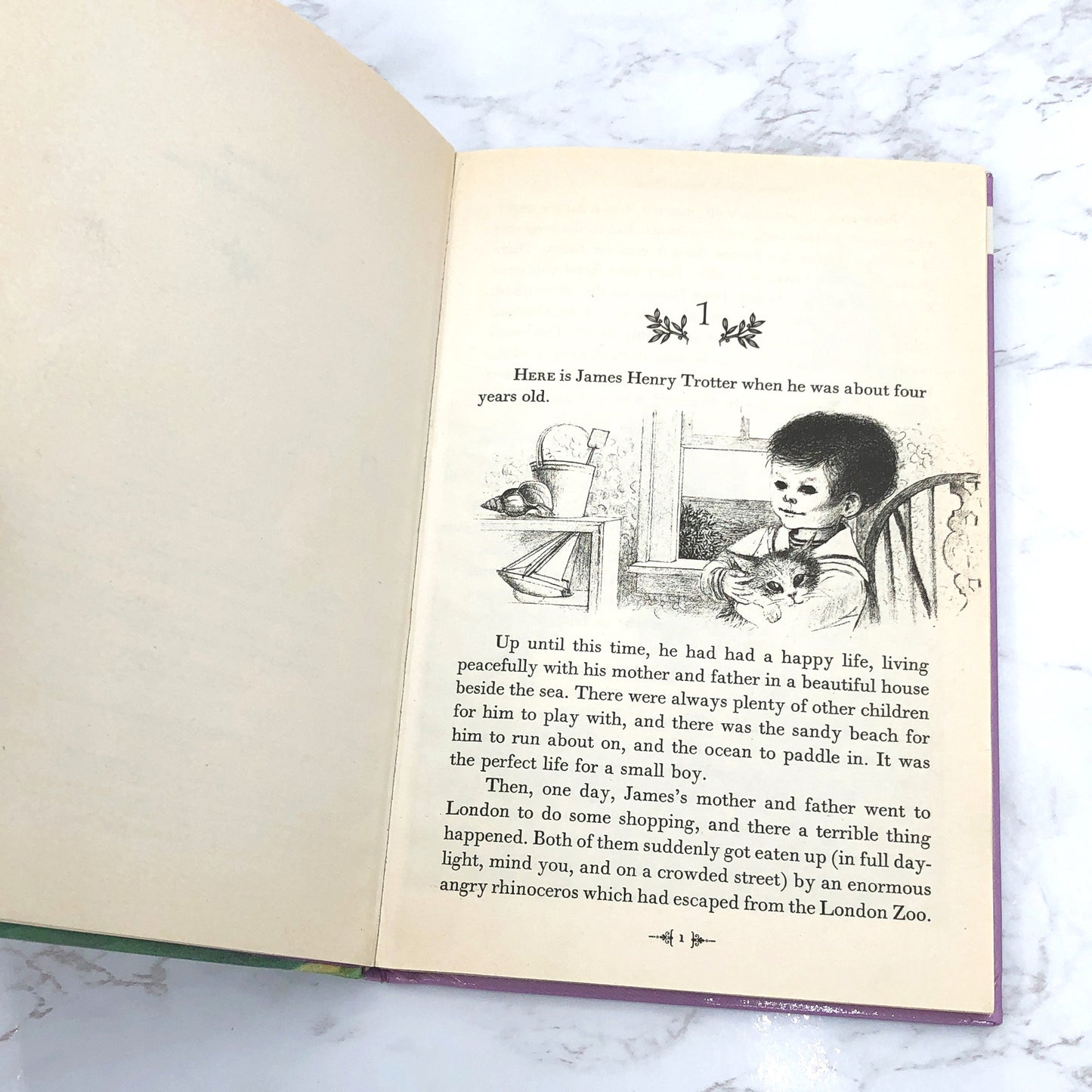 James and the Giant Peach by Roald Dahl [PERMA-BOUND HARDCOVER] 1988 • Puffin