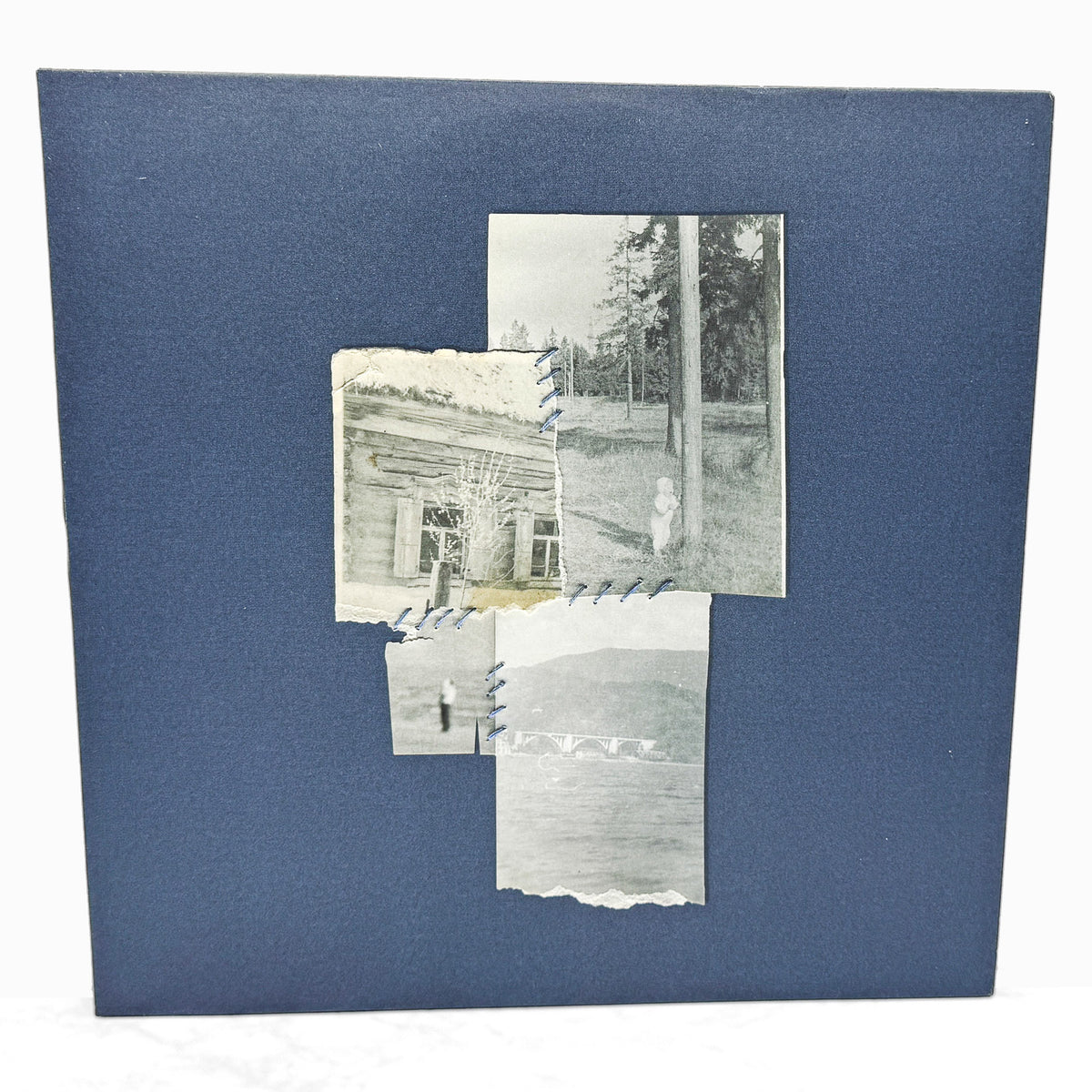 Jason Calhoun + Foresteppe  – A Four Part Cure [VINYL LP] 2025 • Florabelle