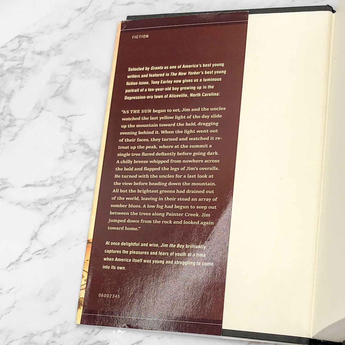 Jim the Boy by Tony Earley [FIRST BOOK CLUB EDITION] 2000 • Little Brown & Co.