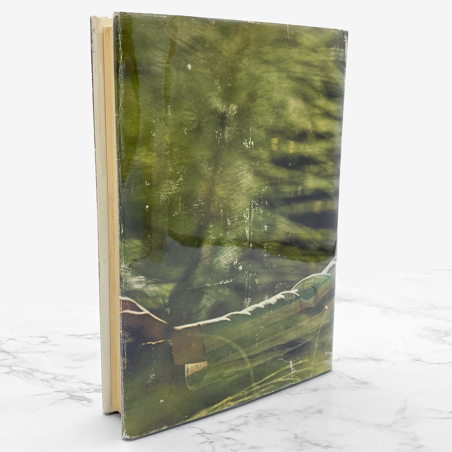 Daybreak by Joan Baez [FIRST EDITION] 1968 • The Dial Press