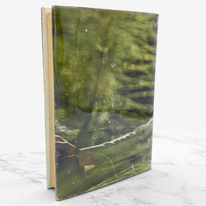 Daybreak by Joan Baez [FIRST EDITION] 1968 • The Dial Press