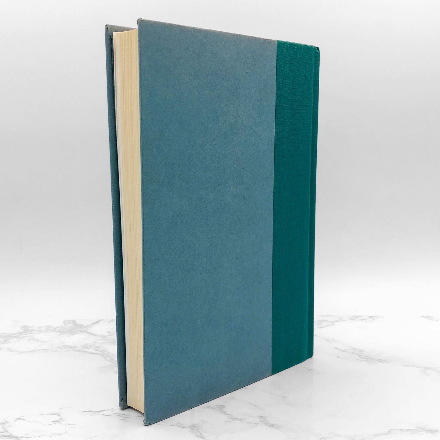 The Joy Luck Club by Amy Tan [FIRST EDITION] 1989 • G.P. Putnam's Sons