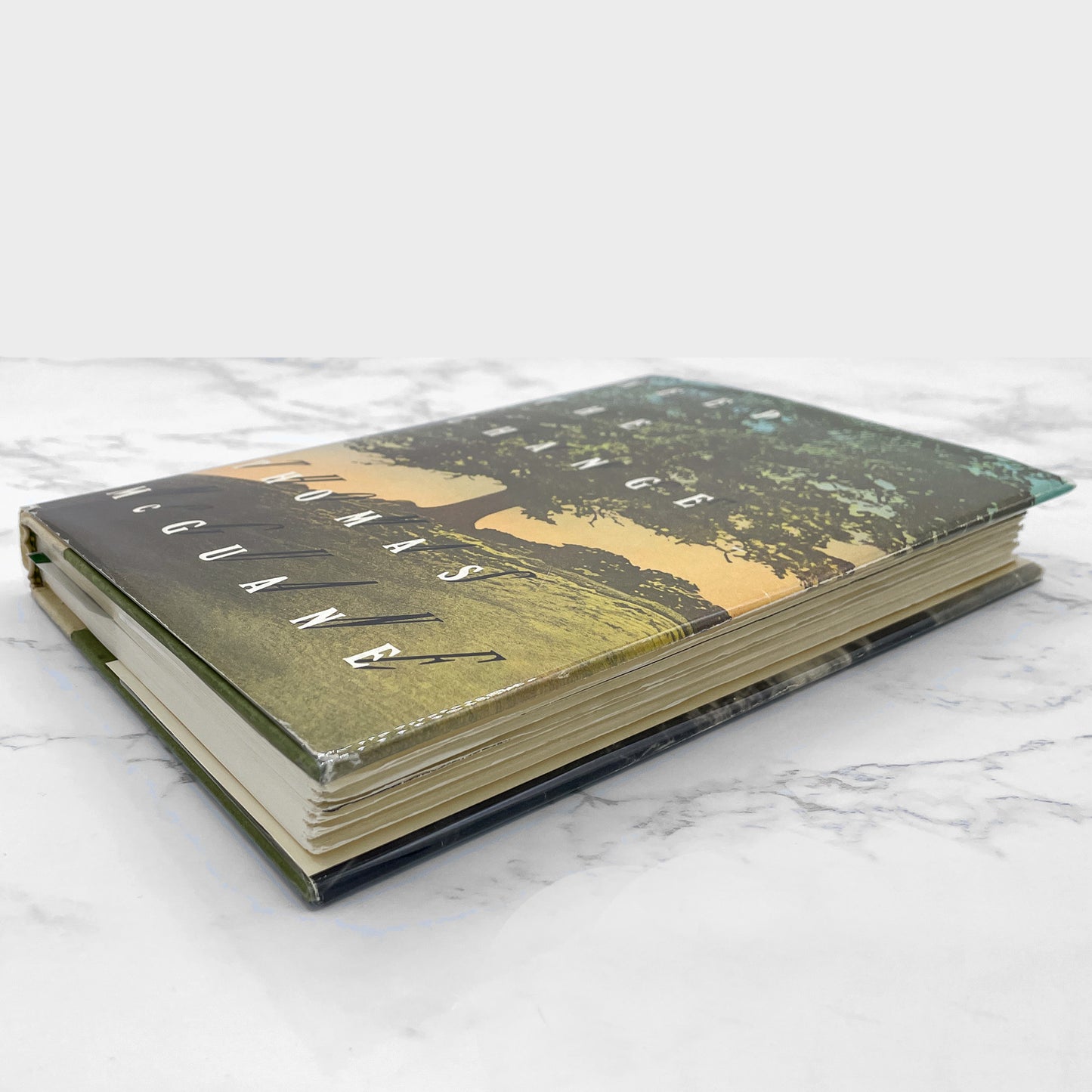 Keep the Change by Thomas McGuane [FIRST EDITION] 1989 • Houghton Mifflin