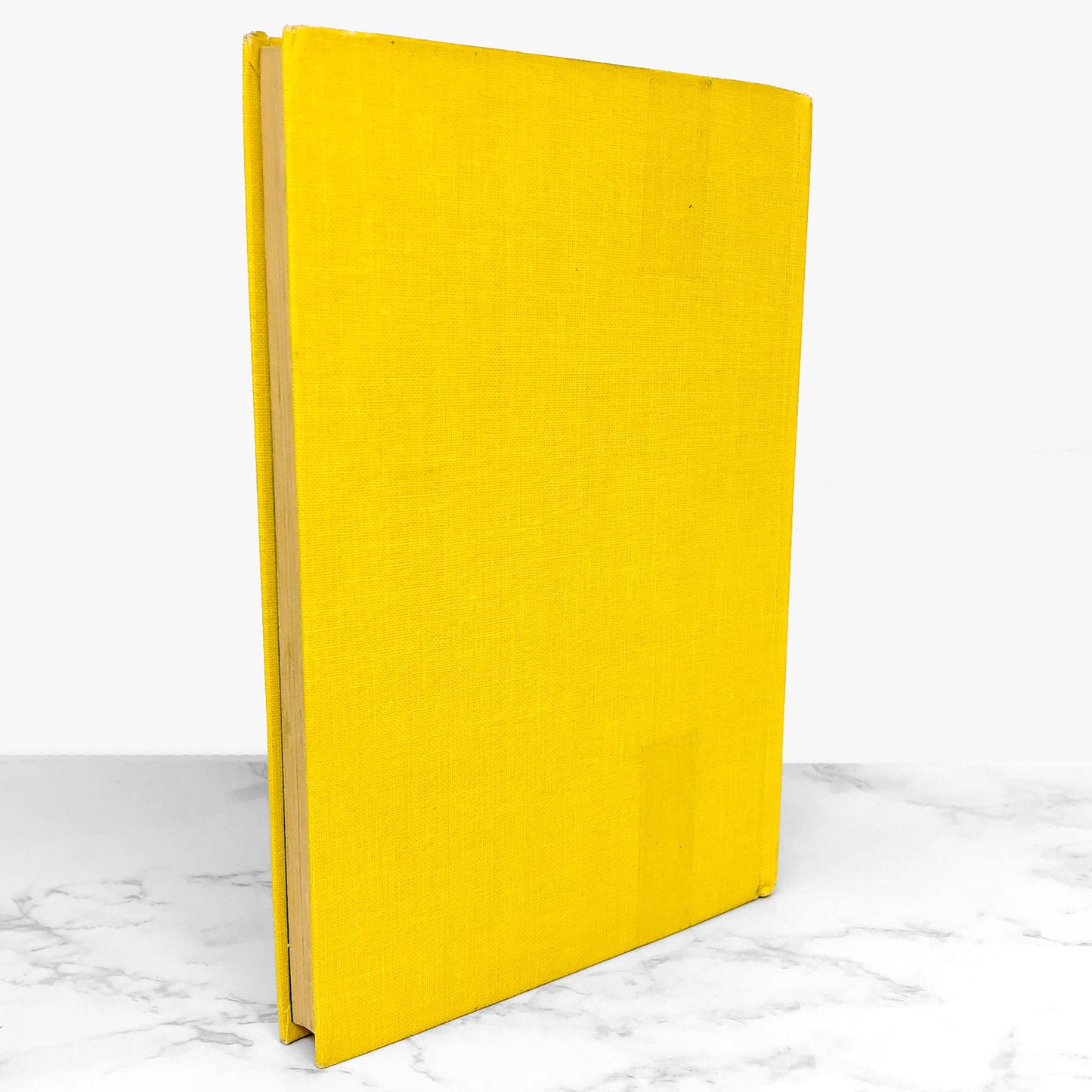 The Kingdom and the Cave by Joan Aiken [U.S. FIRST EDITION] 1973 • Doubleday