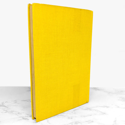 The Kingdom and the Cave by Joan Aiken [U.S. FIRST EDITION] 1973 • Doubleday