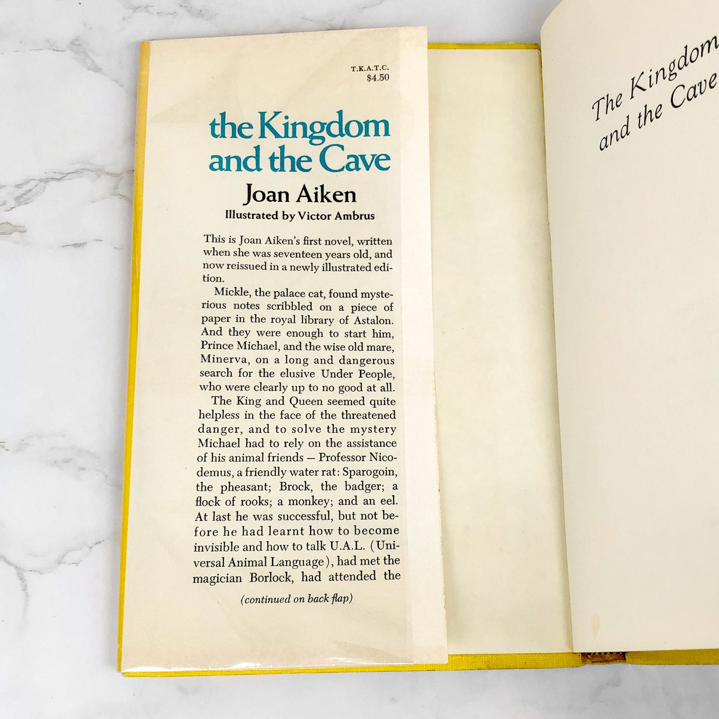 The Kingdom and the Cave by Joan Aiken [U.S. FIRST EDITION] 1973 • Doubleday