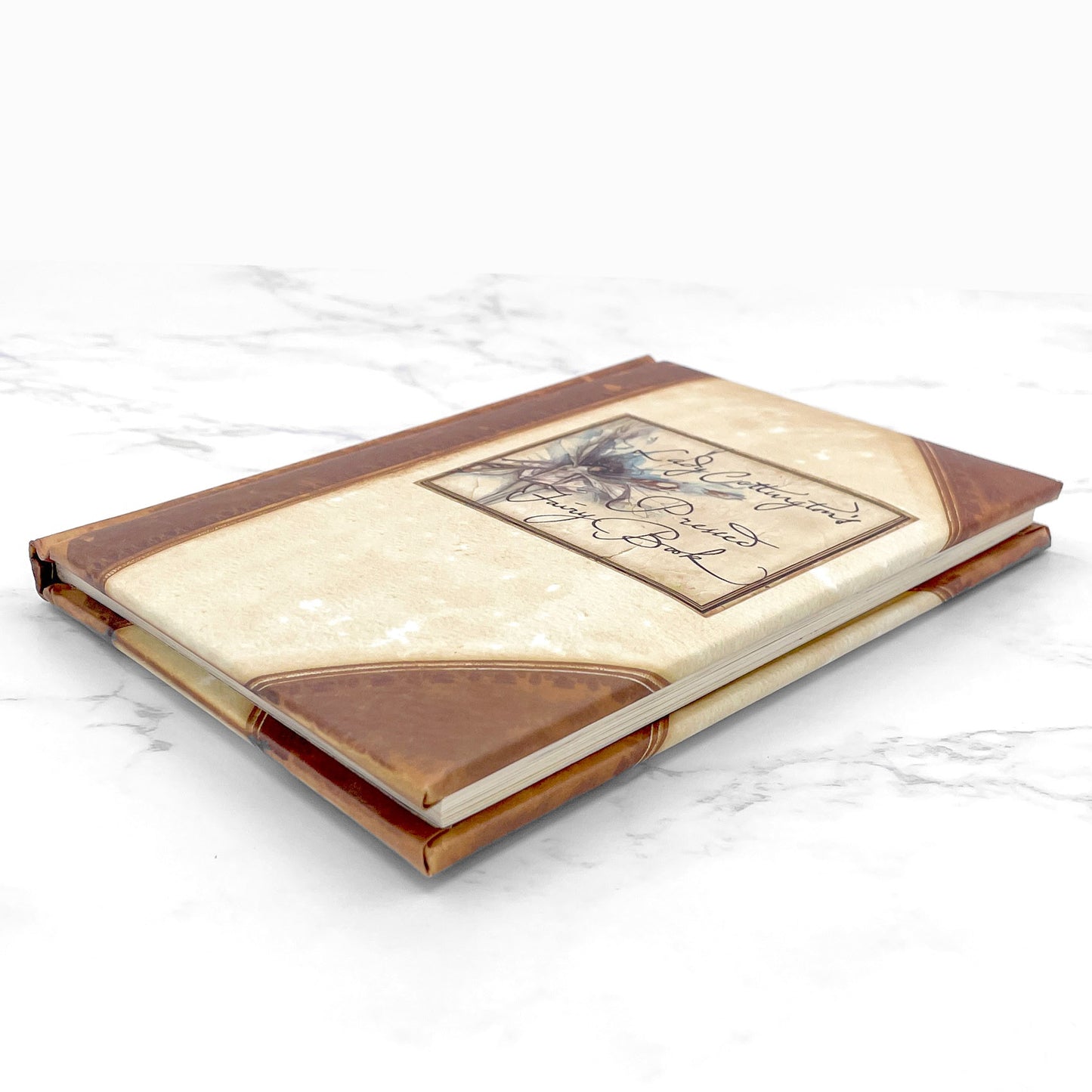 Lady Cottington's Pressed Fairy Book by Terry Jones & Brian Froud [HARDCOVER RE-ISSUE] 2001 • B&N • w/ Fairy Bookmark!