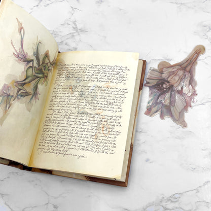 Lady Cottington's Pressed Fairy Book by Terry Jones & Brian Froud [HARDCOVER RE-ISSUE] 2001 • B&N • w/ Fairy Bookmark!