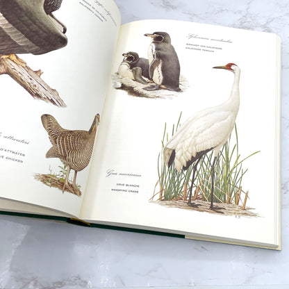 Last Survivors: The Natural History of 48 Animals in Danger of Extinction by Noel Simon [FIRST EDITION] 1970 • World Publishing