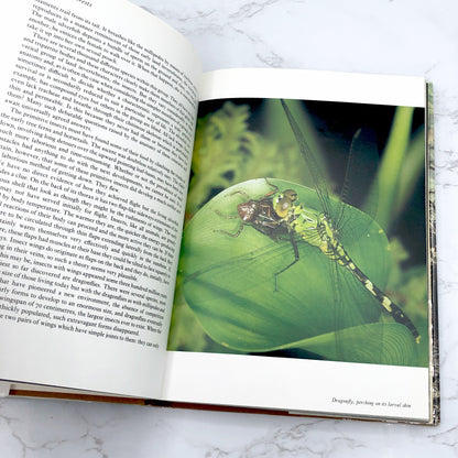 Life on Earth by David Attenborough [U.K. FIRST EDITION] 1979 • Collins