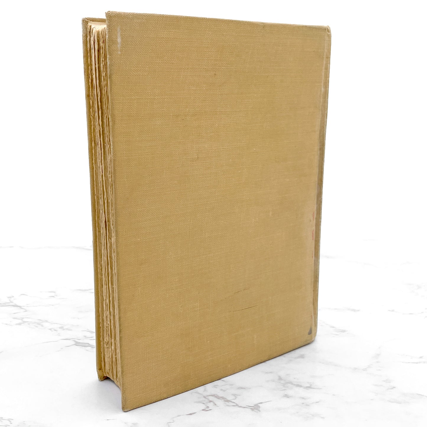 Little Lord Fauntleroy by Frances Hodgson Burnett [ANTIQUE HARDCOVER RE-ISSUE] 1922 • Scribner