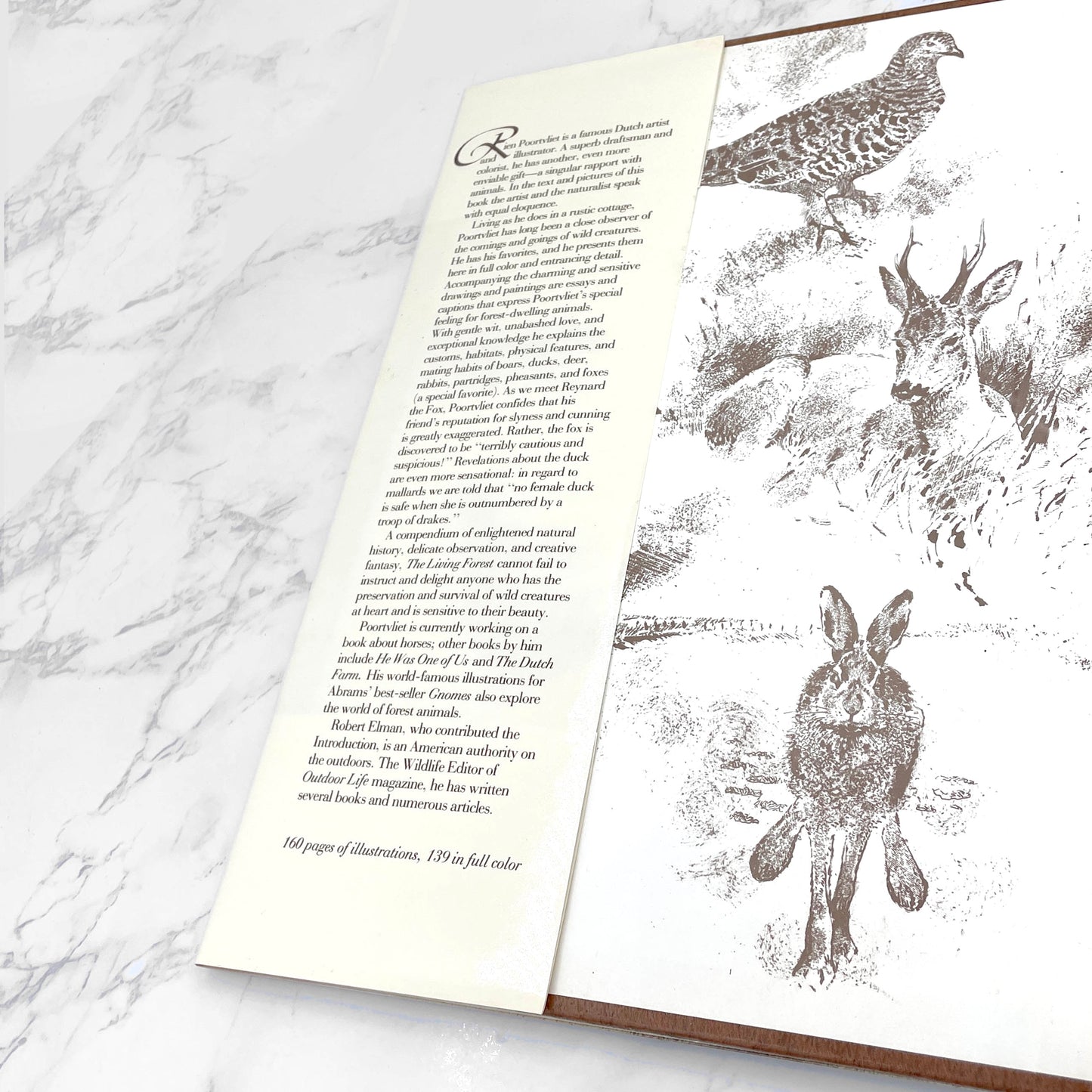 The Living Forest: A World of Animals by Rien Poortvliet [U.S. FIRST EDITION] 1979 • Harry N. Abrams