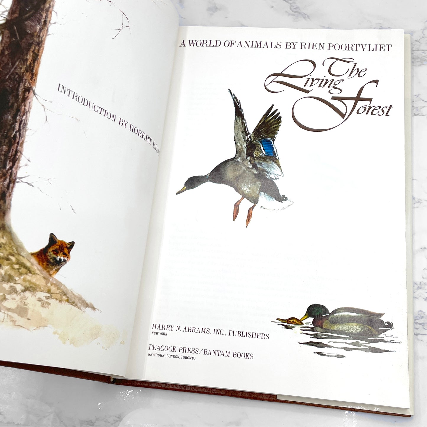 The Living Forest: A World of Animals by Rien Poortvliet [U.S. FIRST EDITION] 1979 • Harry N. Abrams