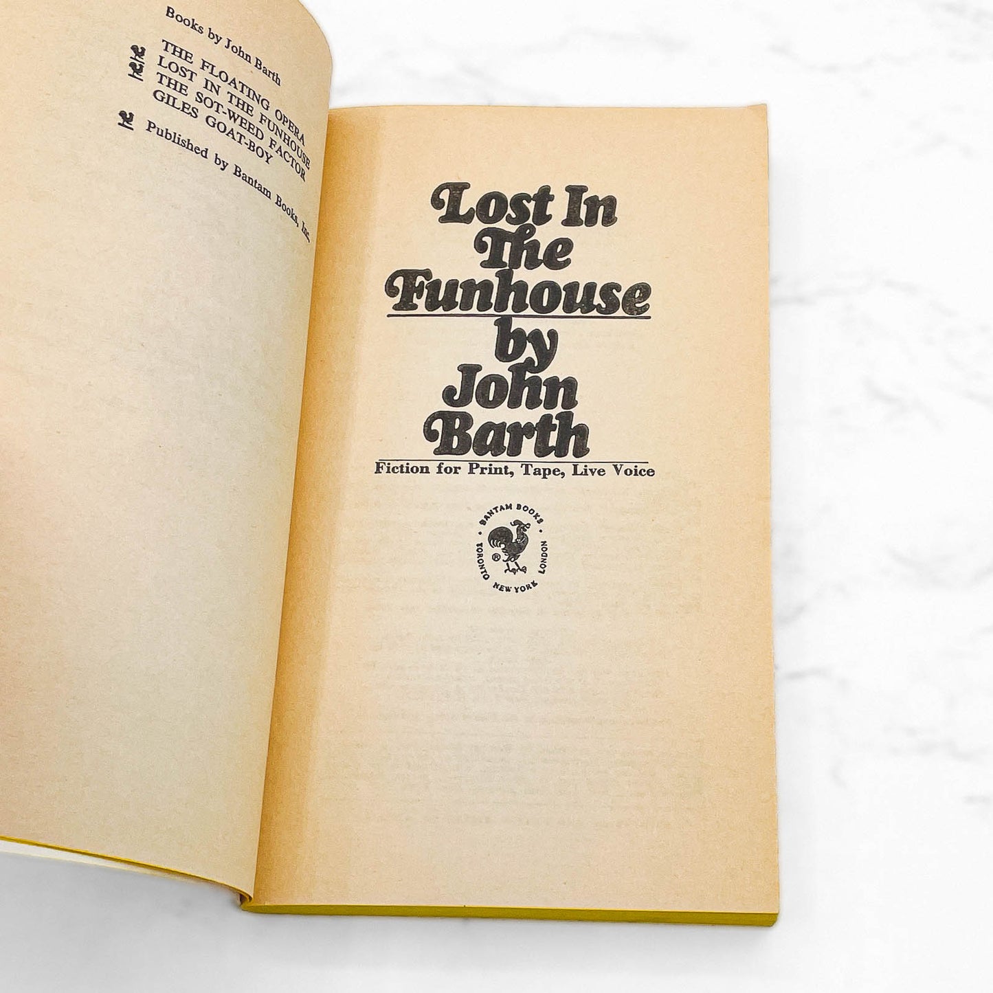 Lost in the Funhouse by John Barth [FIRST PAPERBACK PRINTING] 1969 • Bantam