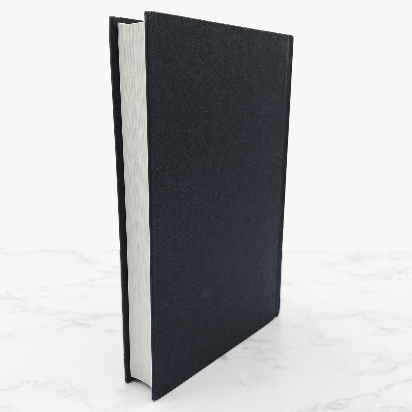 The Lovely Bones by Alice Sebold [FIRST BOOK CLUB PRINTING] 2002 • Little Brown