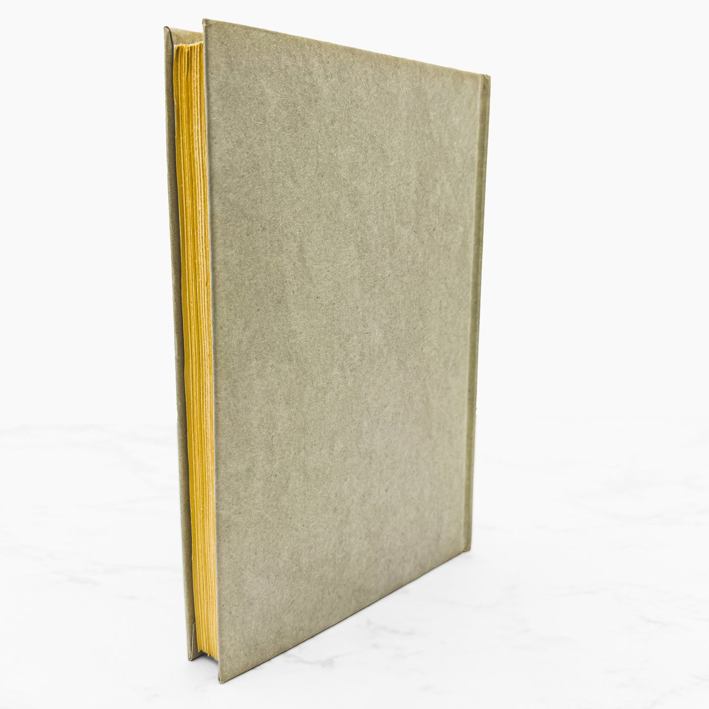 Lupe by Gene Thompson [FIRST BOOK CLUB EDITION] 1977 • Random House