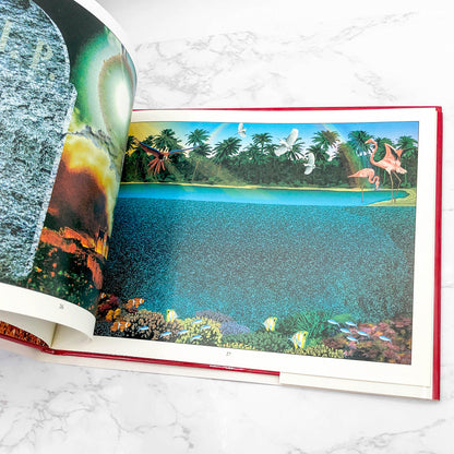 Magic Eye: 3-D Illusions by N.E. Thing Enterprises [FIRST EDITION] 1993 • Andrews & McMeel