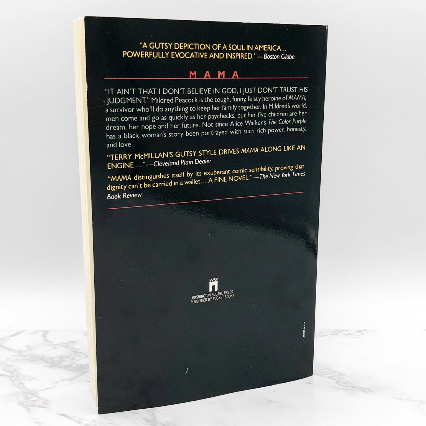 Mama by Terry McMillan [TRADE PAPERBACK] 1992 • Washington Square Press