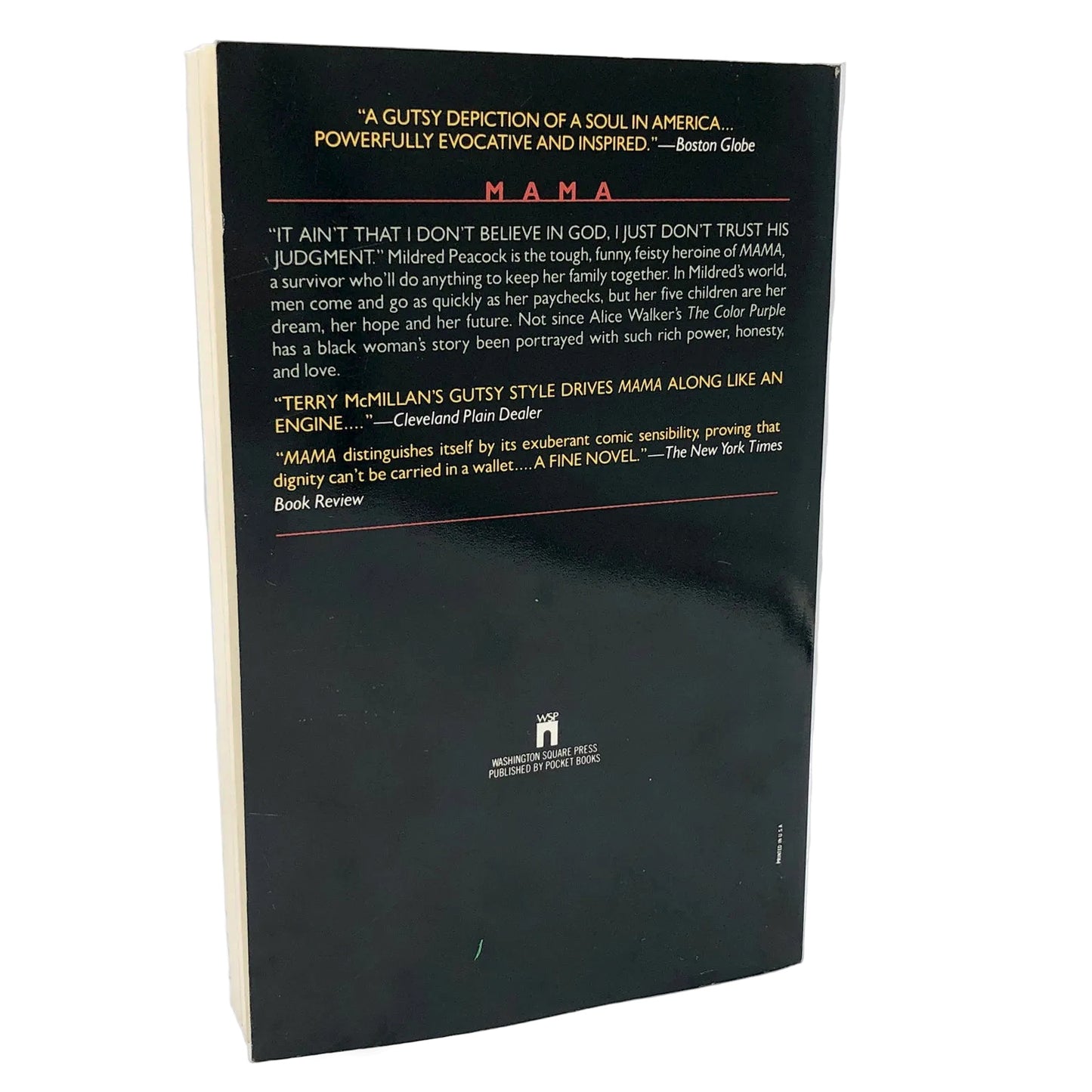 Mama by Terry McMillan [TRADE PAPERBACK] 1992 • Washington Square Press