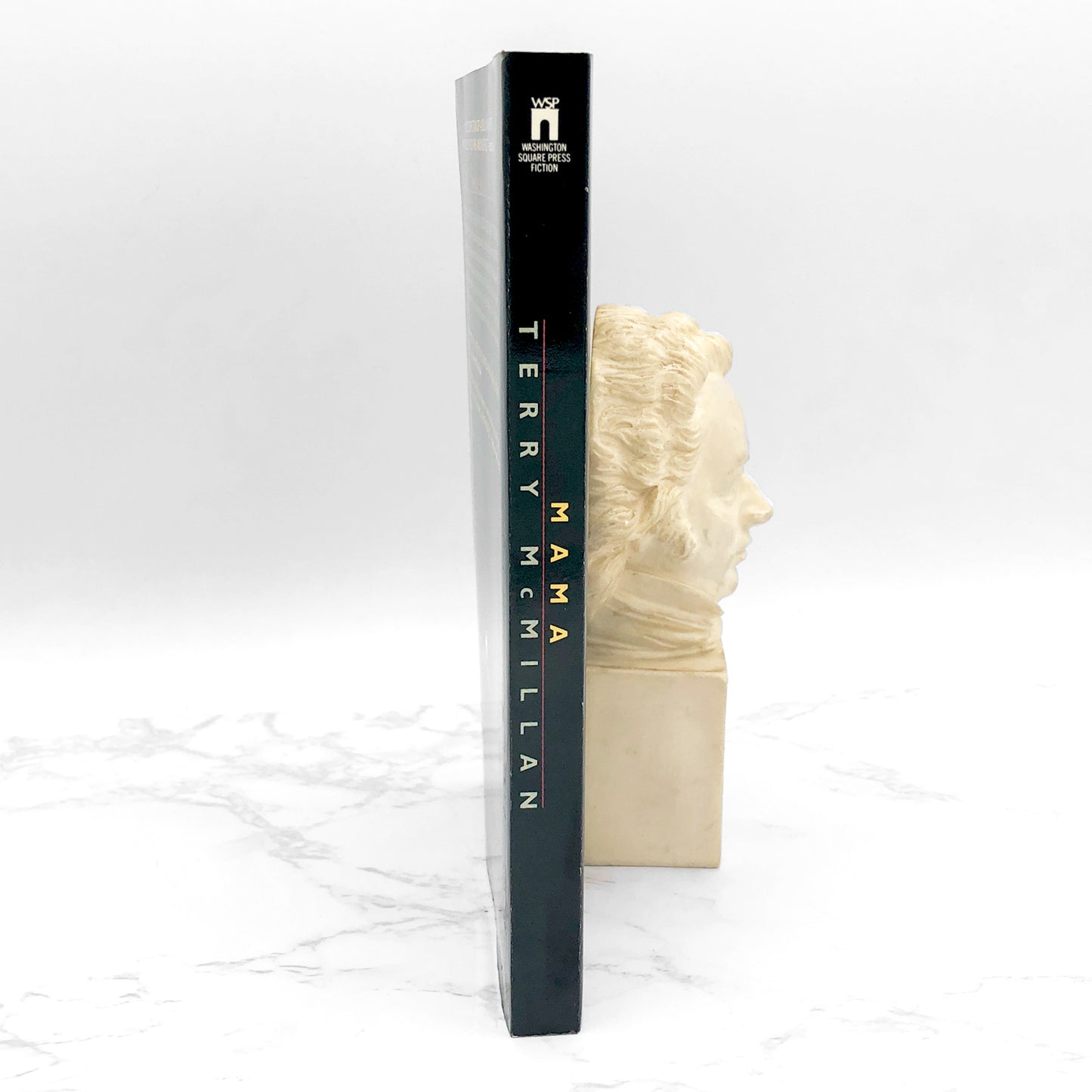 Mama by Terry McMillan [TRADE PAPERBACK] 1992 • Washington Square Press