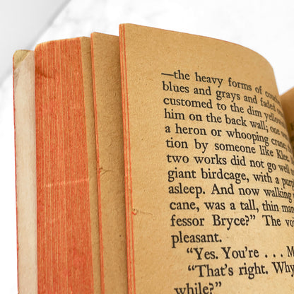 The Man Who Fell to Earth by Walter Tevis [MOVIE TIE-IN PAPERBACK] 1976 • Avon