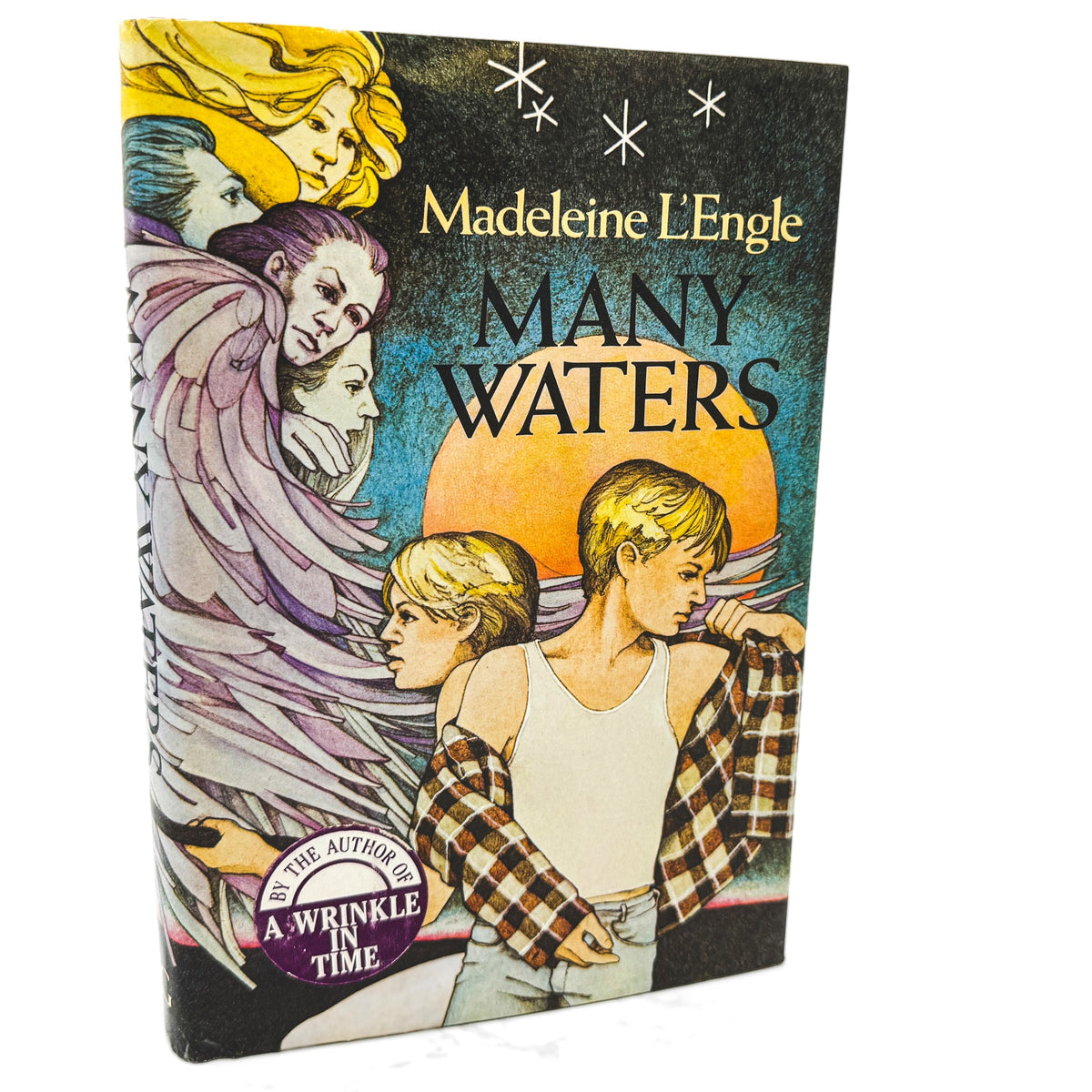 Many Waters by Madeleine L'Engle [FIRST EDITION • FIRST PRINTING] 1986 • FSG *Condition