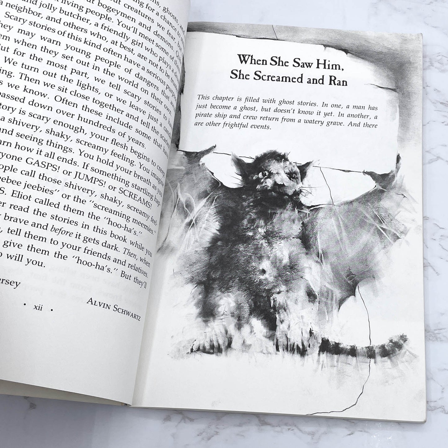 More Scary Stories To Tell in the Dark by Alvin Schwarz [FIRST PAPERBACK PRINTING] 1986 • Harper & Row *see condition