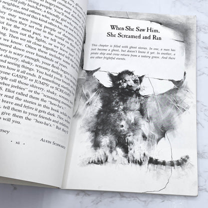 More Scary Stories To Tell in the Dark by Alvin Schwarz [FIRST PAPERBACK PRINTING] 1986 • Harper & Row *see condition