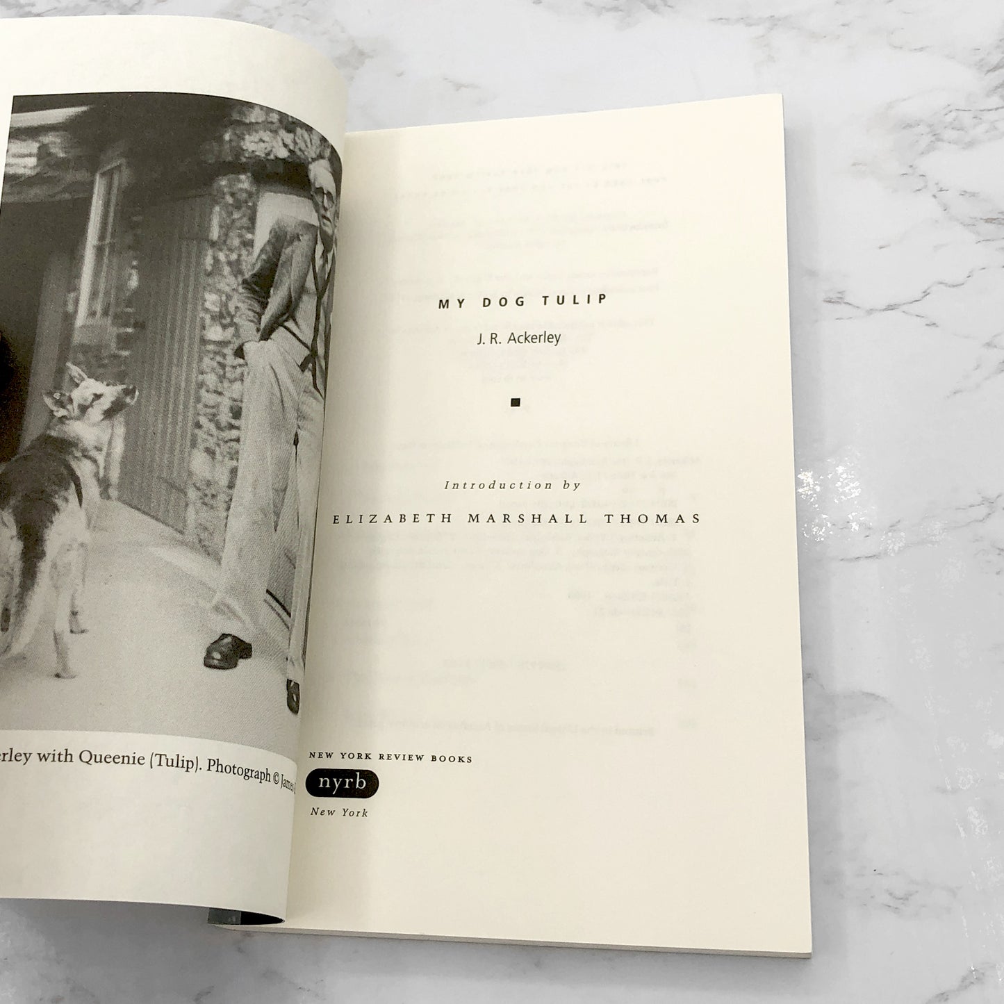 My Dog Tulip by J.R. Ackerley [TRADE PAPERBACK] 2009 • NYRB