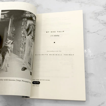 My Dog Tulip by J.R. Ackerley [TRADE PAPERBACK] 2009 • NYRB