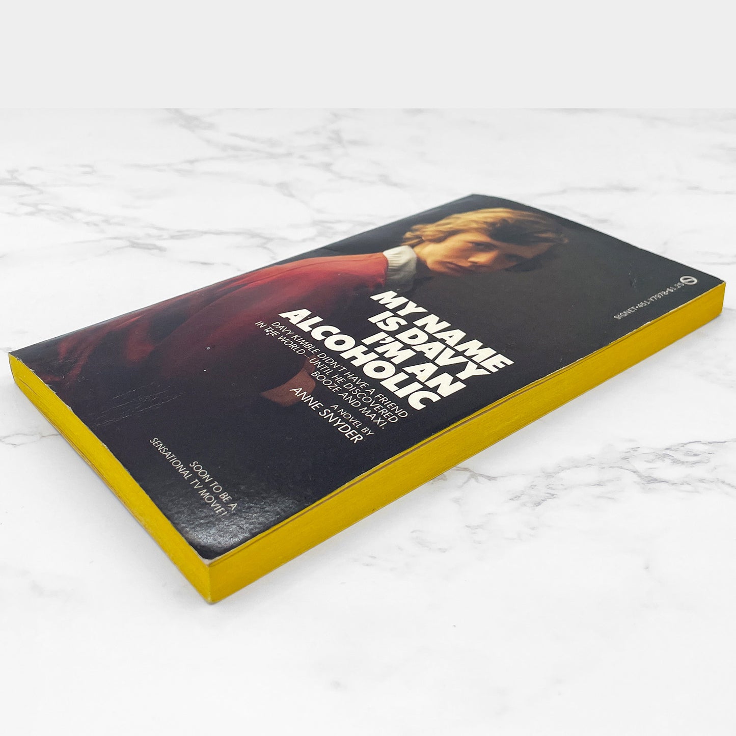 My Name Is Davy, I'm an Alcoholic by Anne Snyder [FIRST PAPERBACK EDITION] 1978 • Signet