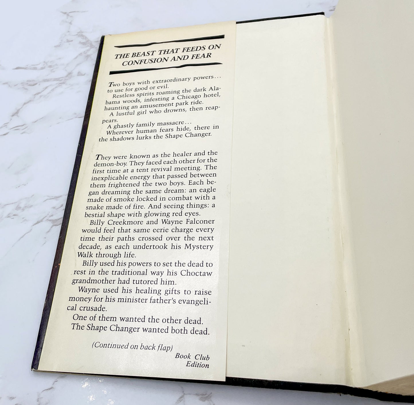 Mystery Walk by Robert R. McCammon [1983 HARDCOVER] BCE • Holt Rinehart & Winston