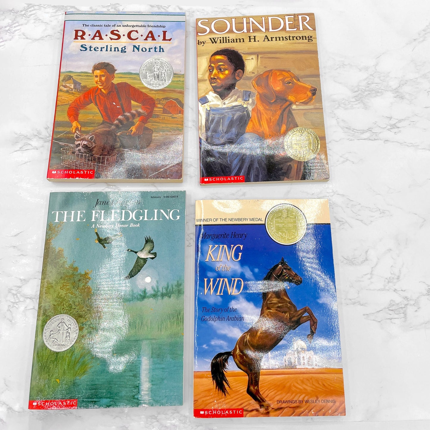 The Newbery Animals Boxed Set (King of the Wind, The Fledgling, Sounder & Rascal) [TRADE PAPERBACK BOX SET] 2002 • Scholastic