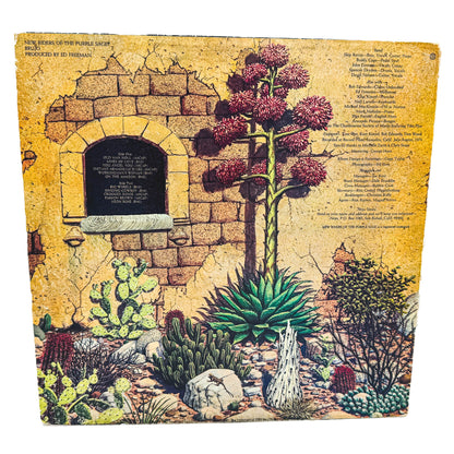 New Riders Of The Purple Sage – Brujo [VINYL LP] 1974 • CBS • European Pressing