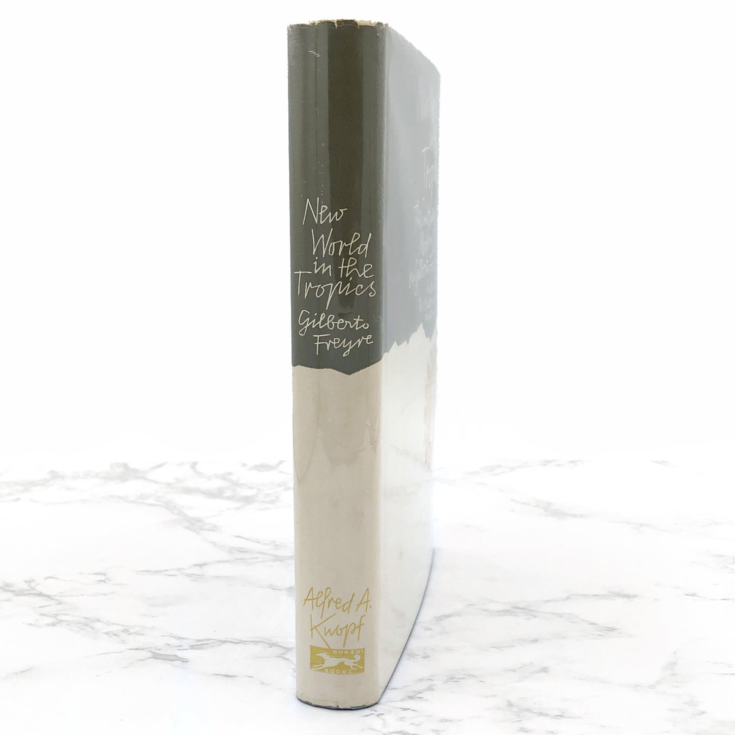 New World in the Tropics: The Culture of Modern Brazil by Gilberto Freyre [FIRST EDITION] 1959 • Knopf