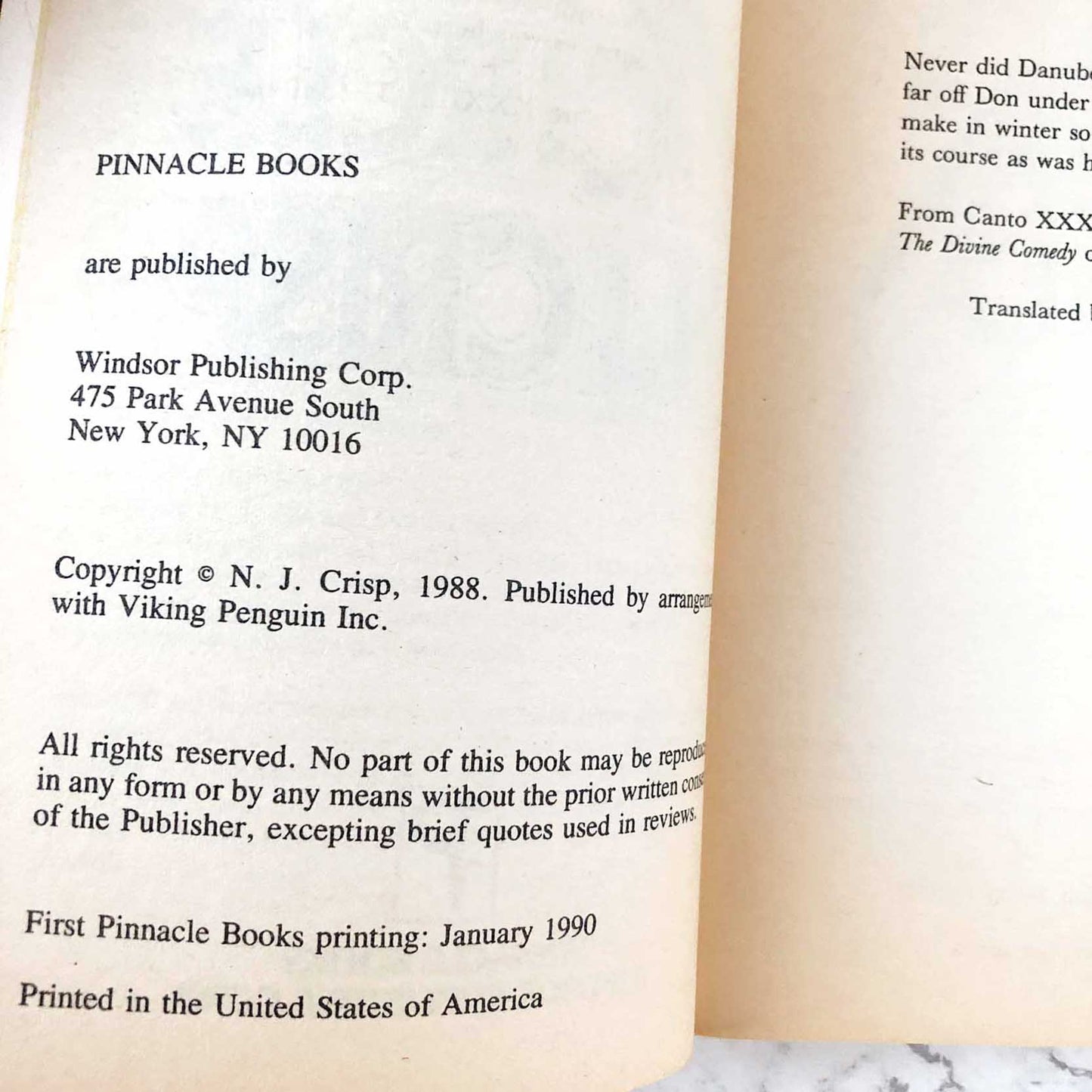 The Ninth Circle by N.J. Crisp [FIRST PAPERBACK PRINTING] 1990 • Pinnacle