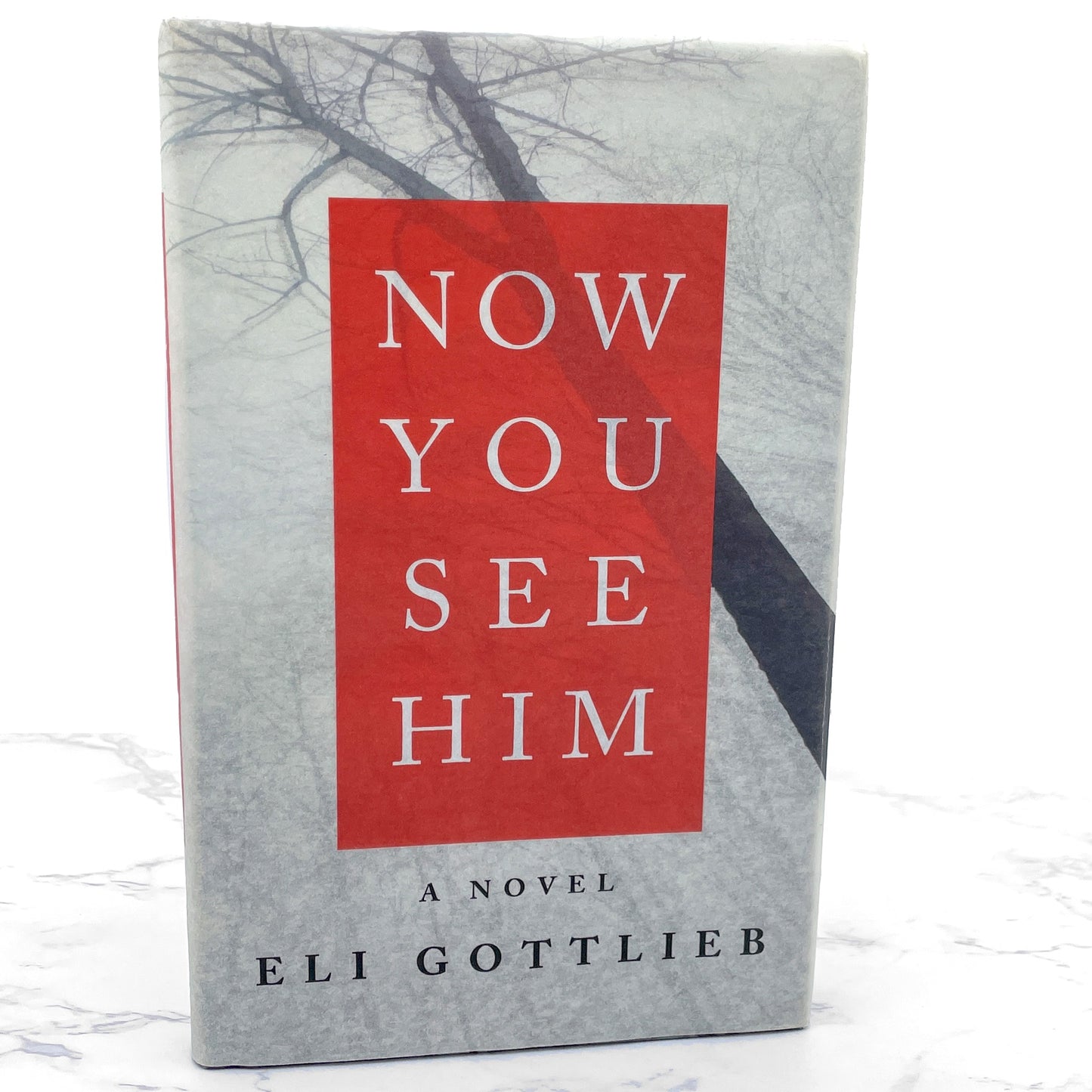 Now You See Him by Eli Gottlieb SIGNED! [FIRST EDITION] 2008 • William Morrow