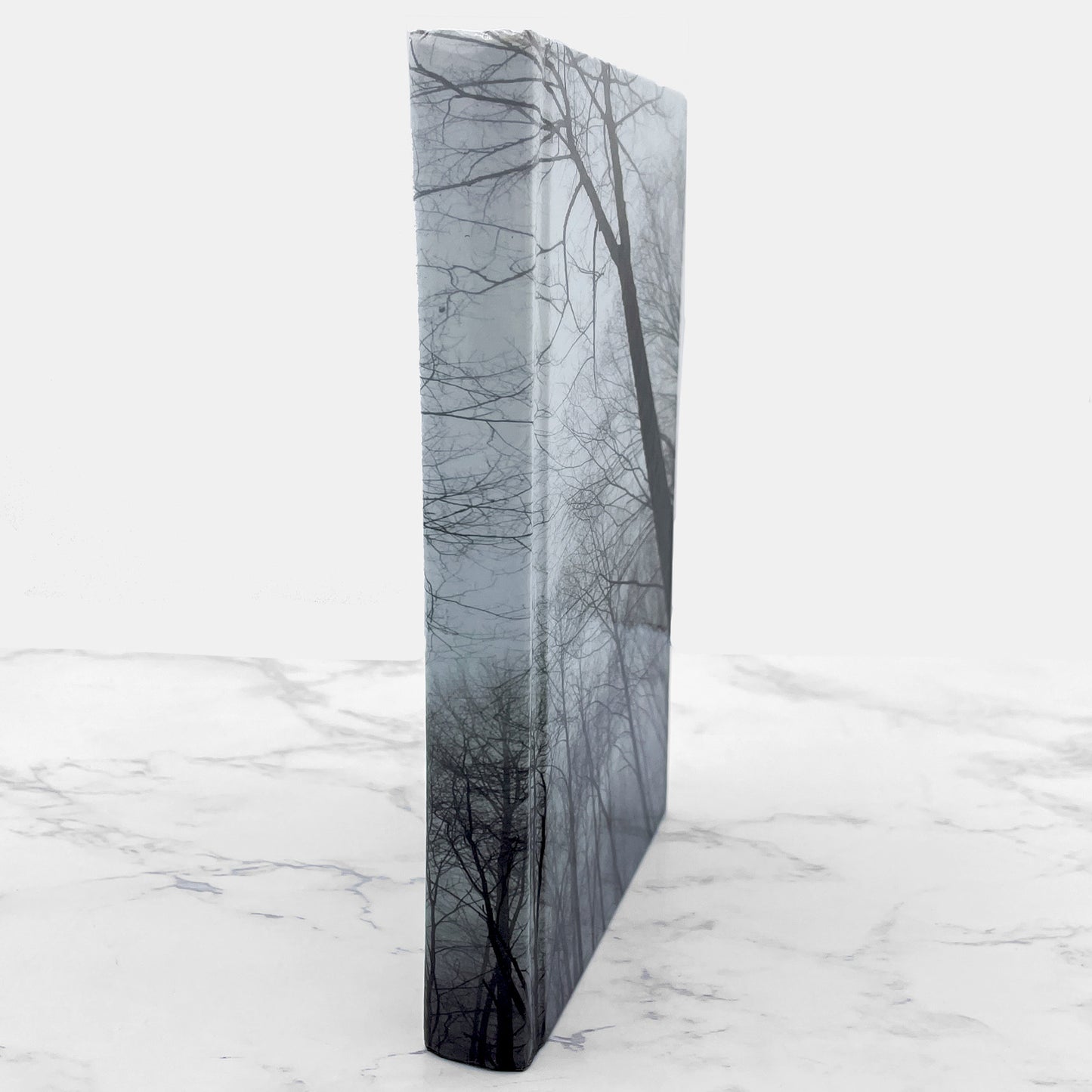 Now You See Him by Eli Gottlieb SIGNED! [FIRST EDITION] 2008 • William Morrow