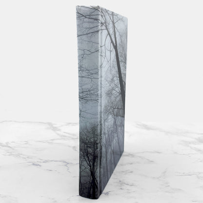 Now You See Him by Eli Gottlieb SIGNED! [FIRST EDITION] 2008 • William Morrow