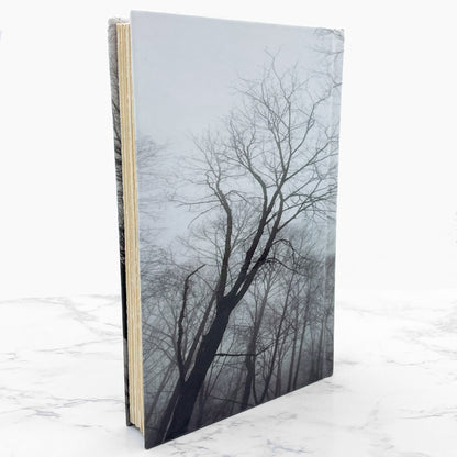 Now You See Him by Eli Gottlieb SIGNED! [FIRST EDITION] 2008 • William Morrow