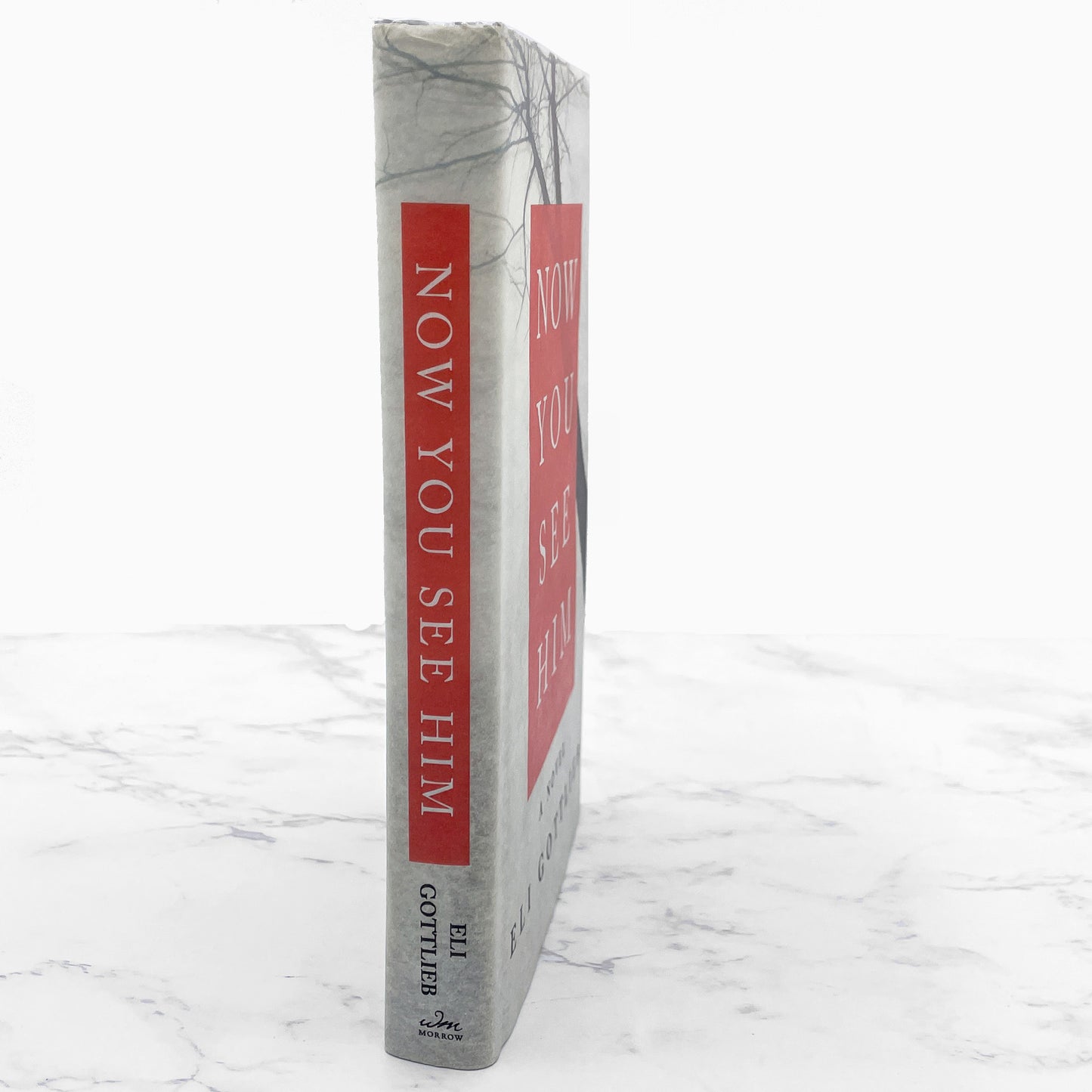 Now You See Him by Eli Gottlieb SIGNED! [FIRST EDITION] 2008 • William Morrow