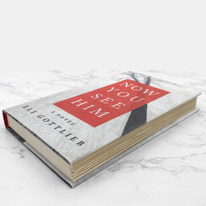 Now You See Him by Eli Gottlieb SIGNED! [FIRST EDITION] 2008 • William Morrow