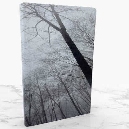 Now You See Him by Eli Gottlieb SIGNED! [FIRST EDITION] 2008 • William Morrow