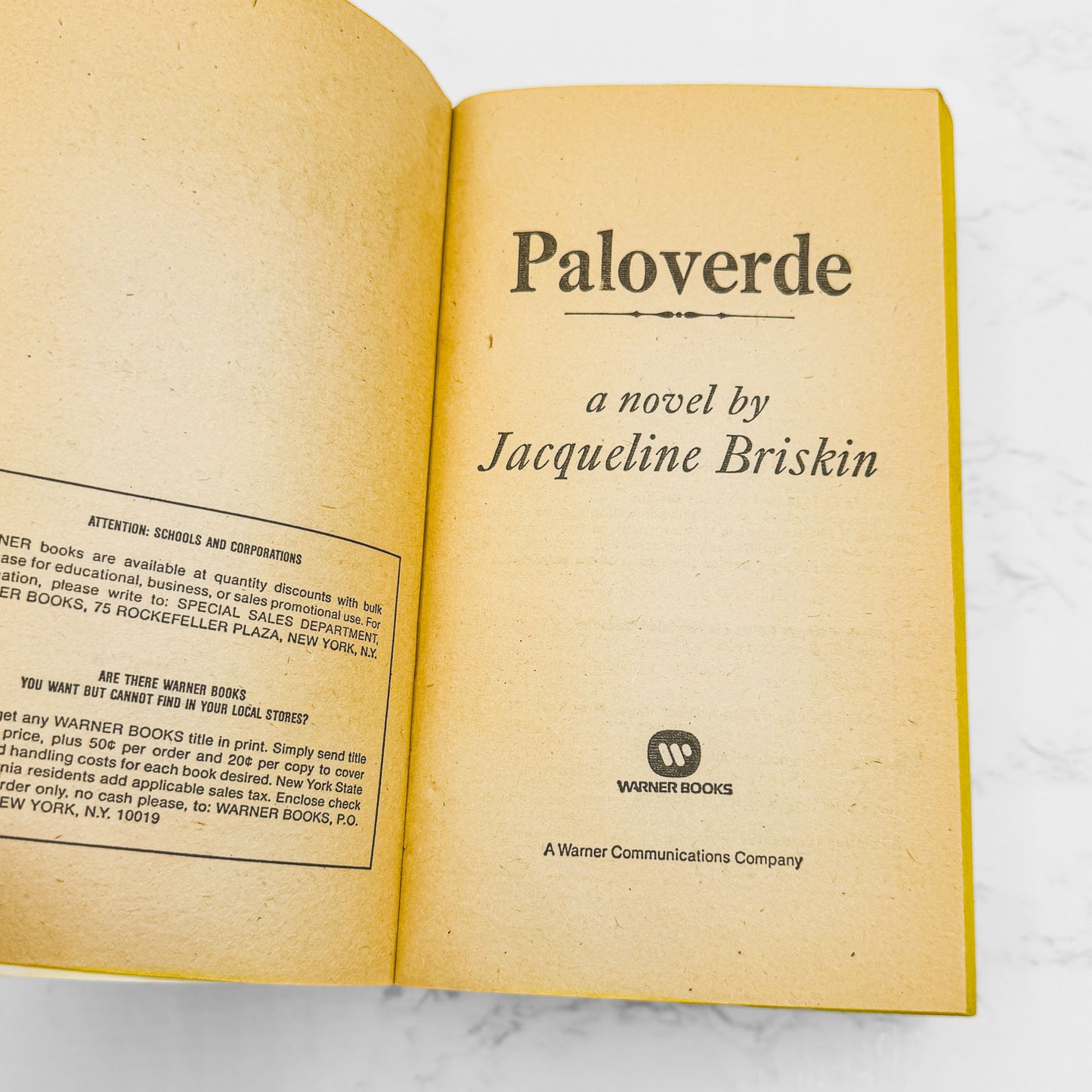 Paloverde by Jacqueline Briskin [FIRST PAPERBACK EDITION] 1980 • Warner Books
