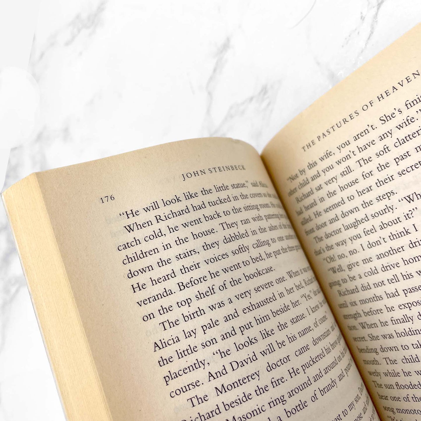 The Pastures of Heaven by John Steinbeck [TRADE PAPERBACK] 1995 • Penguin Books